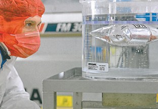 foto3_feneberg.jpg foto3_feneberg.jpg