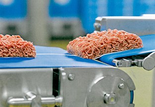 foto4_feneberg.jpg foto4_feneberg.jpg