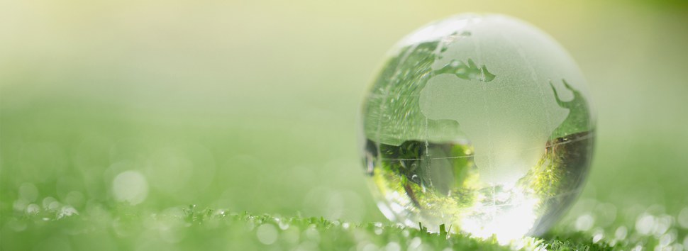 Embalagem sustentável