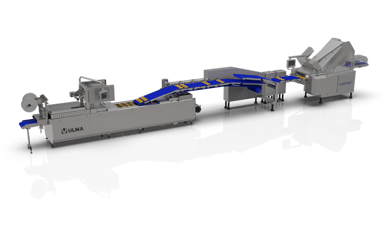 P1 - Com Reflexo.png P1 - Com Reflexo.png