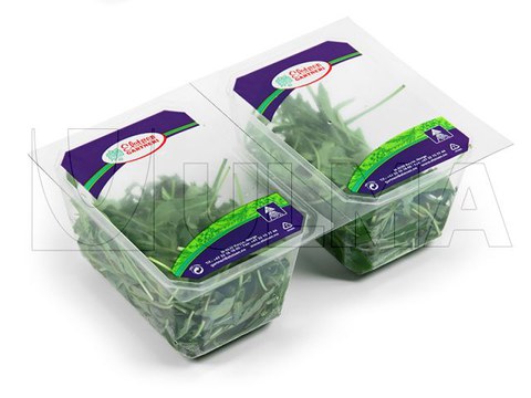 Rúcula embalada em termoselada com atmosfera modificada (MAP)