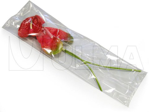 Flores (Anthurium)embaladas em Flowpack