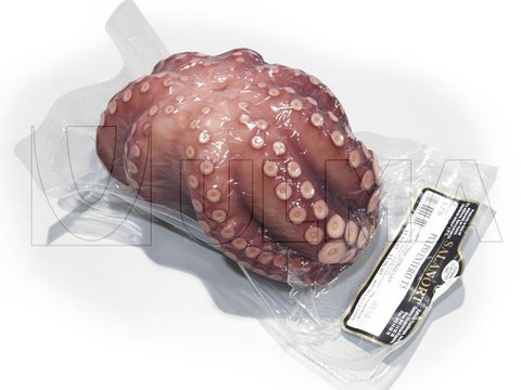 Polvo inteiro embalado em termoformadora à vácuo